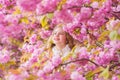 Lost in blossom. Botany concept. Girl tourist posing near sakura. Child on pink flowers of sakura tree background. Girl