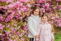 Lost in blossom. Girls posing near sakura. Kids on pink flowers of sakura tree background. Botany concept. Kids enjoying