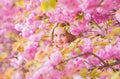Lost in blossom. Tender bloom. Girl tourist posing near sakura. Child on pink flowers of sakura tree background. Botany
