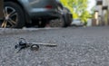 Lost bunch of keys lies on the asphalted sidewalk