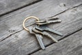 a lost bunch of keys lies on the wooden floor.