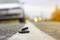 Lost car keys on the fallen needles of blue spruce. back blur background bokeh Royalty Free Stock Photo