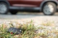 Lost car keys on the ground, Car keys dropped on the floor or fall lying on the street home front. Walking Away From Lost Car Key Royalty Free Stock Photo