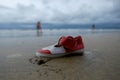 Lost child shoe on sand of beach Royalty Free Stock Photo