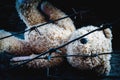 Lost childhood, loneliness, pain concept. Old toy teddy bear behind barbed wire