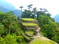 Lost City in Santa Marta in Colombia Royalty Free Stock Photo