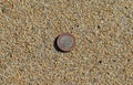 Lost coin, one euro on the beach of Palma de Mallorca. Spain.