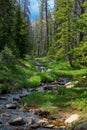 Lost creek in Uinta Wasatch national forest