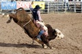 Lost Dutchman Days Rodeo Royalty Free Stock Photo