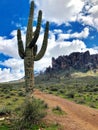 Lost Dutchman State Park Royalty Free Stock Photo