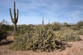 Lost Dutchman State Park, Arizona, USA Royalty Free Stock Photo