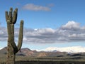 Lost Dutchman State Park Royalty Free Stock Photo