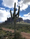 Lost Dutchman State Park. Royalty Free Stock Photo
