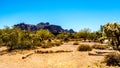 Lost Dutchman State Park with Superstition Mountain Royalty Free Stock Photo