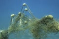 Lost fishing net with buoys lies underwater on the seabed on blue water background. Becici, Budva Municipality, Montenegro Royalty Free Stock Photo