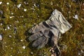 Lost glove on ground Royalty Free Stock Photo