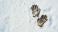 Lost Gloves on Snowy Terrain