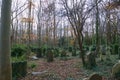 Lost graves Highgate Cemetery Royalty Free Stock Photo