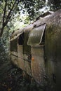 An old trailer abandoned in the middle of a jungle