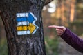 Lost hiker pointing at hiking trail directional sign in woodland Royalty Free Stock Photo