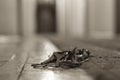 Lost keys in the hotel lobby from the office, the background and background are blurred with the bokeh effect Royalty Free Stock Photo