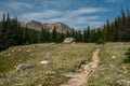 Lost Lake Trail Cuts Through Small Meadow Royalty Free Stock Photo