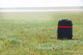 Lost luggage in wild tulips field Royalty Free Stock Photo