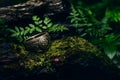 Lost Magical Ring, Inside Forest, Woods, Enchanted Ring, Bronze Ring