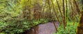 Lost Man Creek in Redwood National Park USA