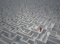 Lost in maze Royalty Free Stock Photo