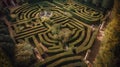 Lost in the Maze: A Complex Labyrinth from Above