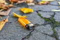 Lost pocket lighter lies on the road among autumn leaves
