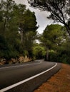 Lost road in spain Royalty Free Stock Photo