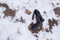 Lost shoe in the snow Royalty Free Stock Photo
