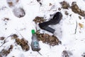 Lost shoe in the snow Royalty Free Stock Photo