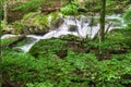 Lost Stream in the Blue Ridge Mountains Royalty Free Stock Photo