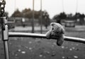 Lost teddy bear doll lying on metal with rain drops at playground in gloomy day, Lonely or sad brown bear abandoned lied down