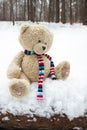 Lost teddy bear in the winter forest
