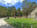 Lost in Time: Discovering Ancient Secrets Amidst Tikal\'s Jungle Stelae