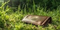 Lost wallet in the grass, concept of Misplaced Belongings, created with Generative AI technology