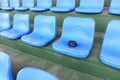Lost wallet lying on stadium seat Royalty Free Stock Photo