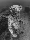 Statue of Dionysus with a crown of ivy in ClaudioÃ¢â¬â¢s Ninfeum. underwater, archeology.