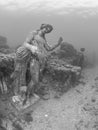 Statue of Dionysus with panther in ClaudioÃ¢â¬â¢s Ninfeum. underwater, archeology.