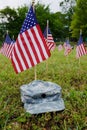 A lot of american flags and army cap Royalty Free Stock Photo