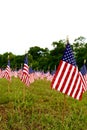 A lot of american flags Royalty Free Stock Photo