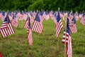 A lot of american flags Royalty Free Stock Photo