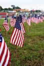 A lot of american flags Royalty Free Stock Photo