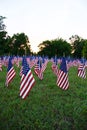 A lot of american flags Royalty Free Stock Photo