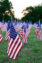 A lot of american flags Royalty Free Stock Photo