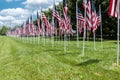 Lot of american flags. Memorial Day, Independence Day and Veterans Day celebration in USA Royalty Free Stock Photo